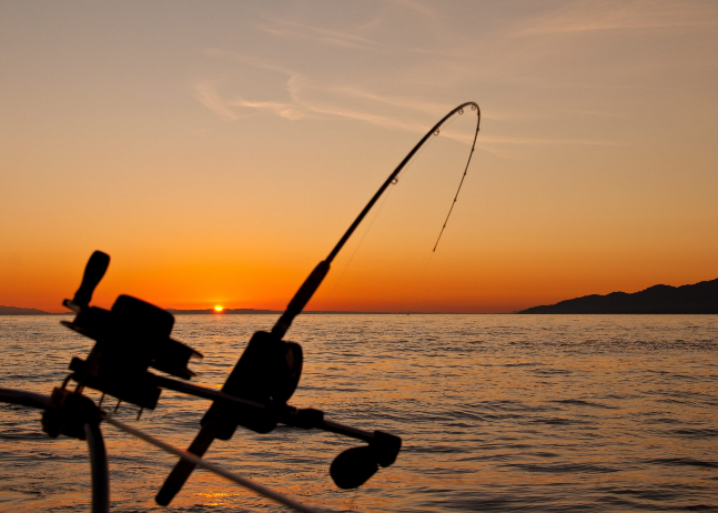 Катер с каютой – идеальное решение как для семейного отдыха, так и для зачетной рыбалки